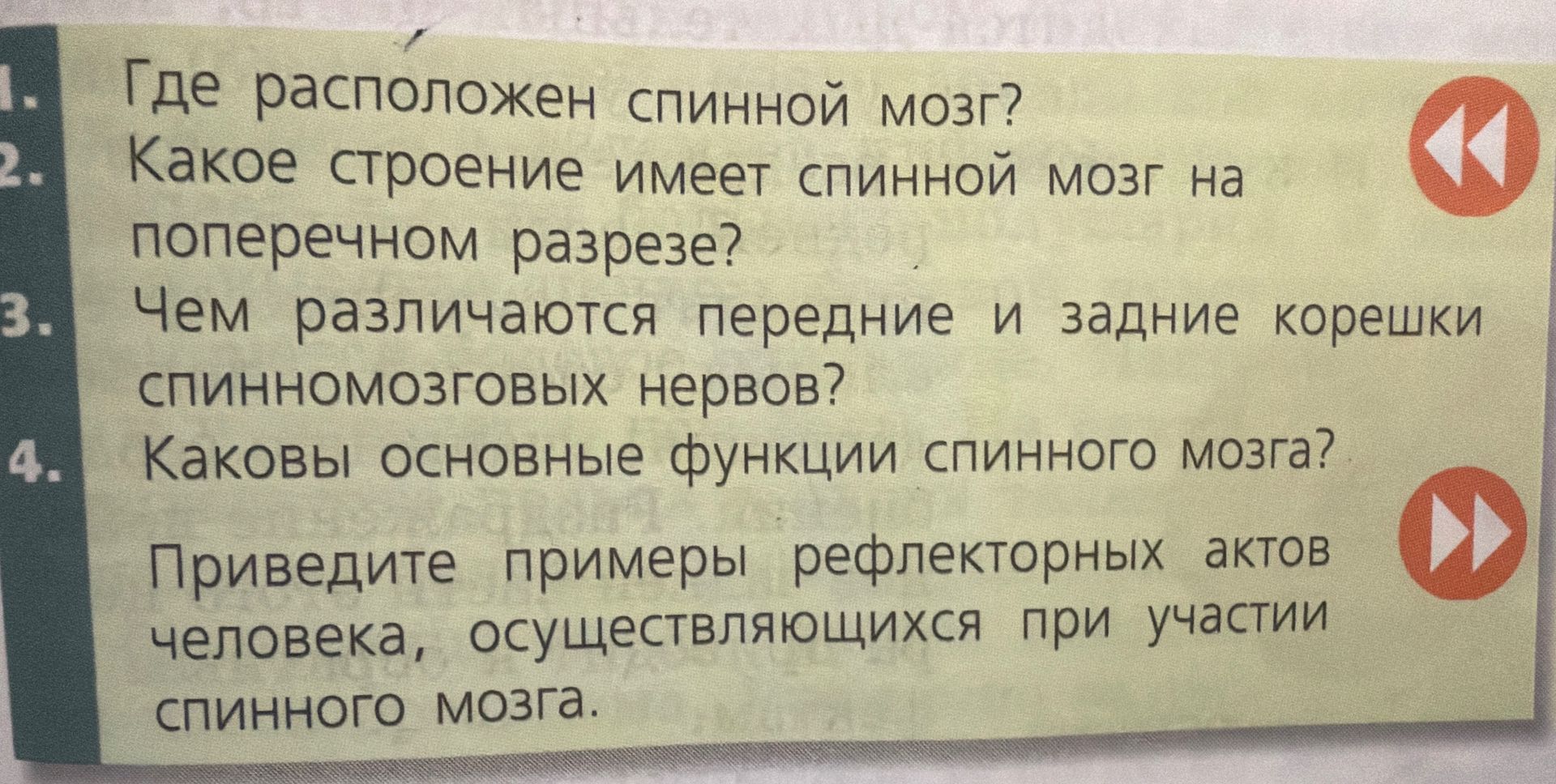 Фото задания: Где расположен спинной мозг?