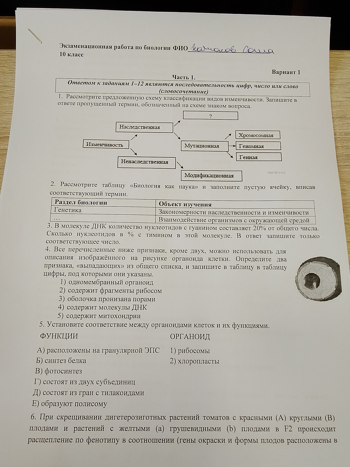 Фото задания