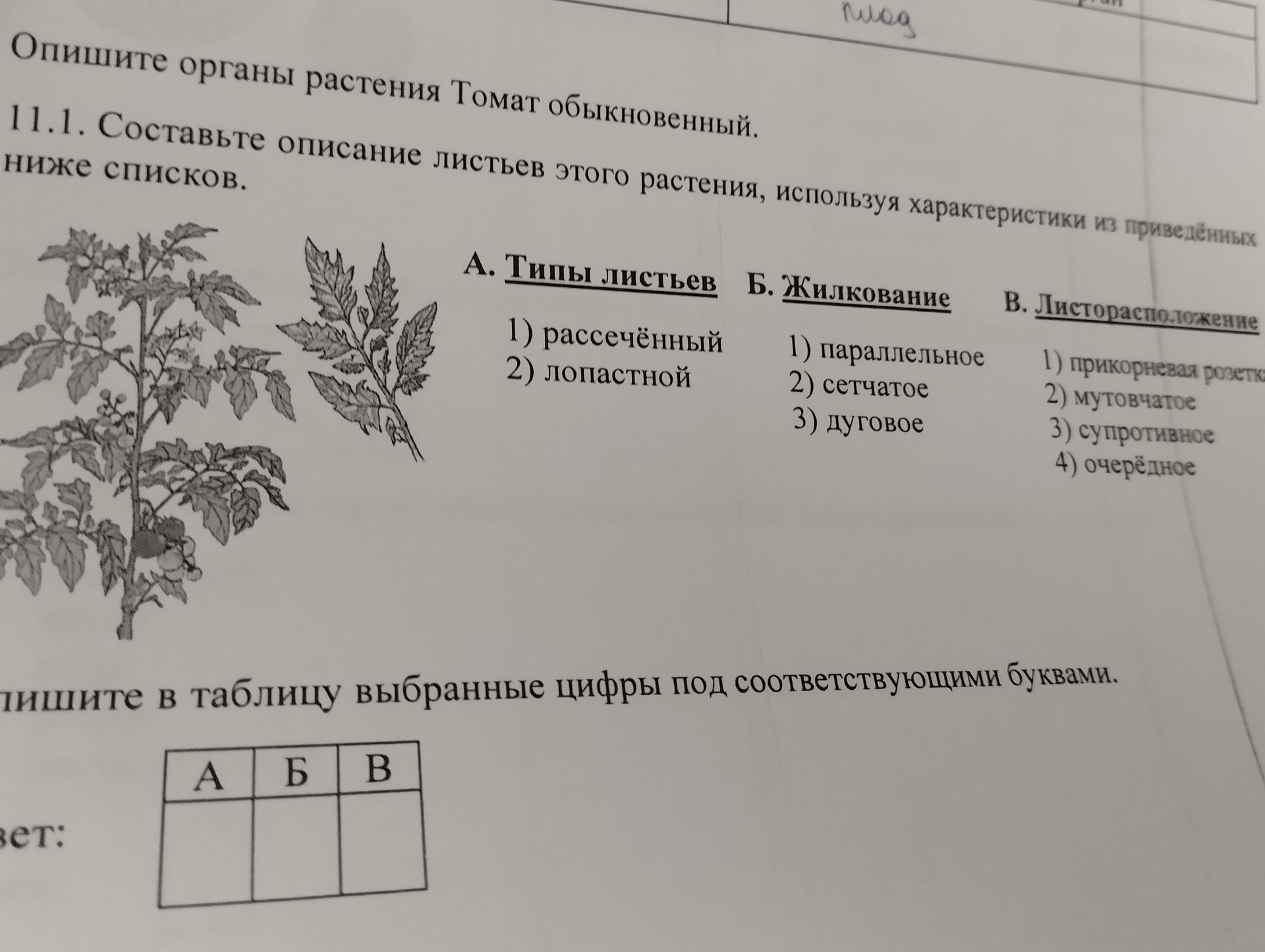 Фото задания