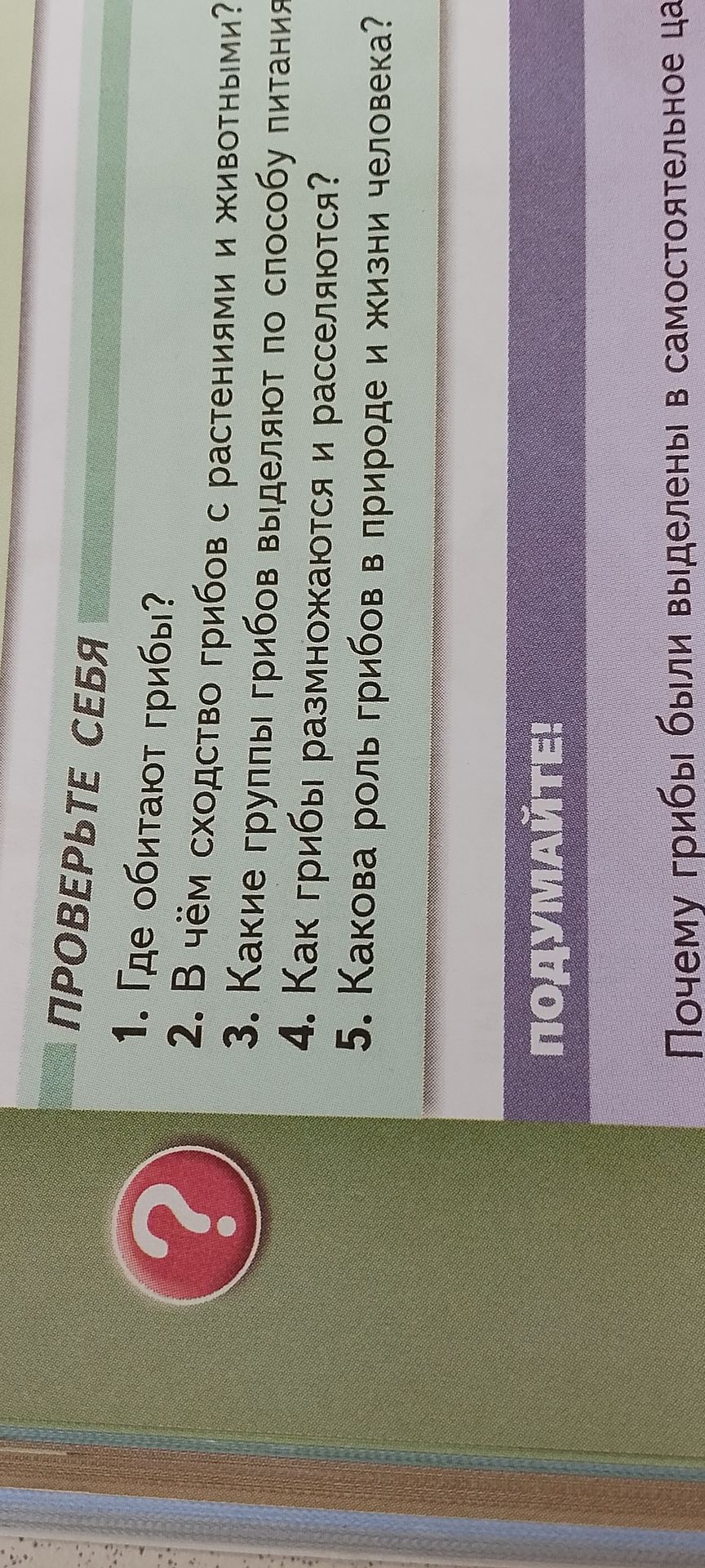 Фото задания: Где обитают грибы?