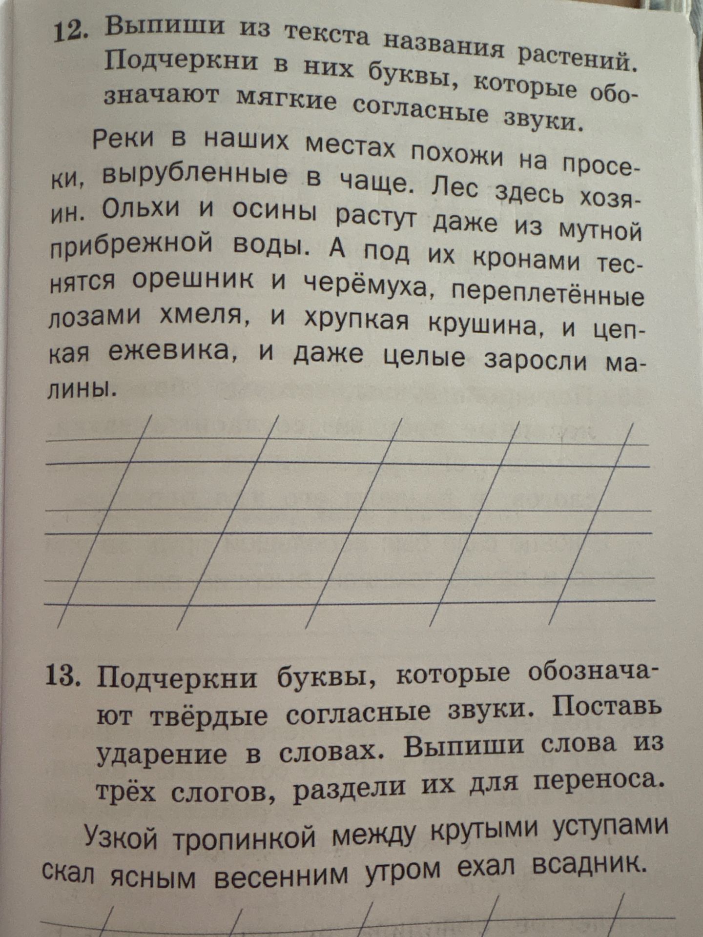 Фото задания: 12. Выпиши из текста названия растений. Подчеркни в них буквы, которые обозначают мягкие согласные звуки.