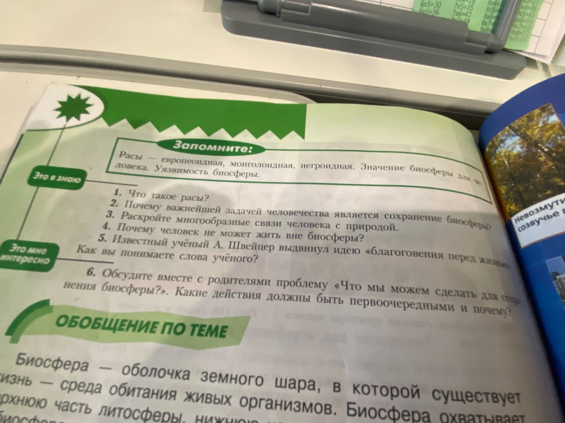 Фото задания: Что такое расы?