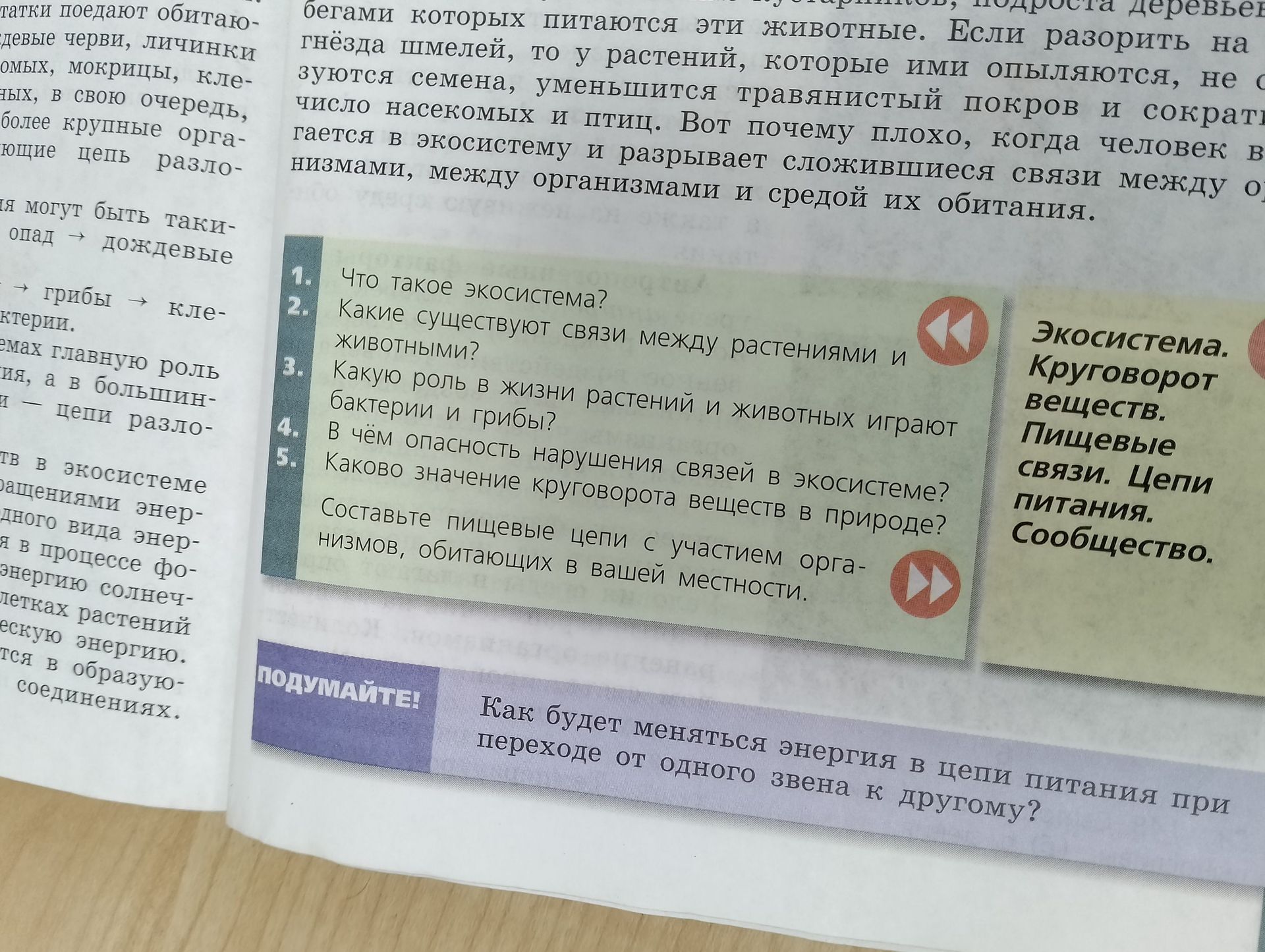 Фото задания: Каково значение круговорота веществ в природе?