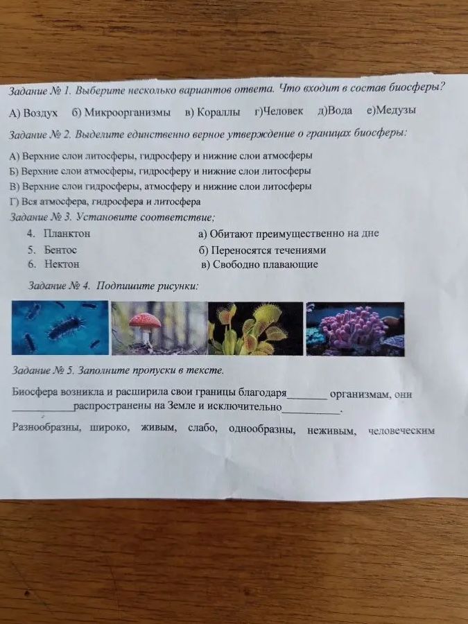 Фото задания: Задание № 5. Заполните пропуски в тексте.