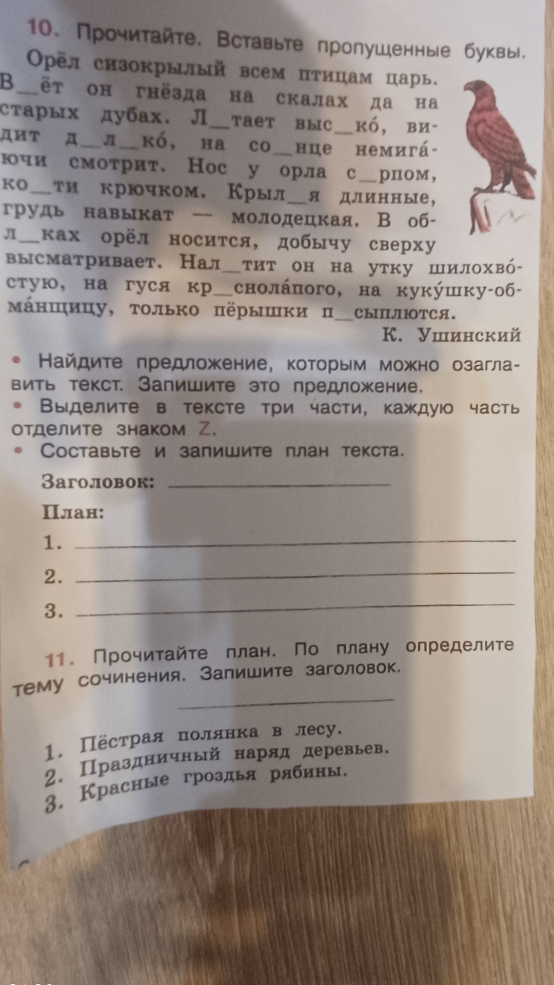 Фото задания: 10. Прочитайте. Вставьте пропущенные буквы. Орёл сизокрылый всем птицам царь. В_ёт он гнёзда на скалах да на старых дубах.…
