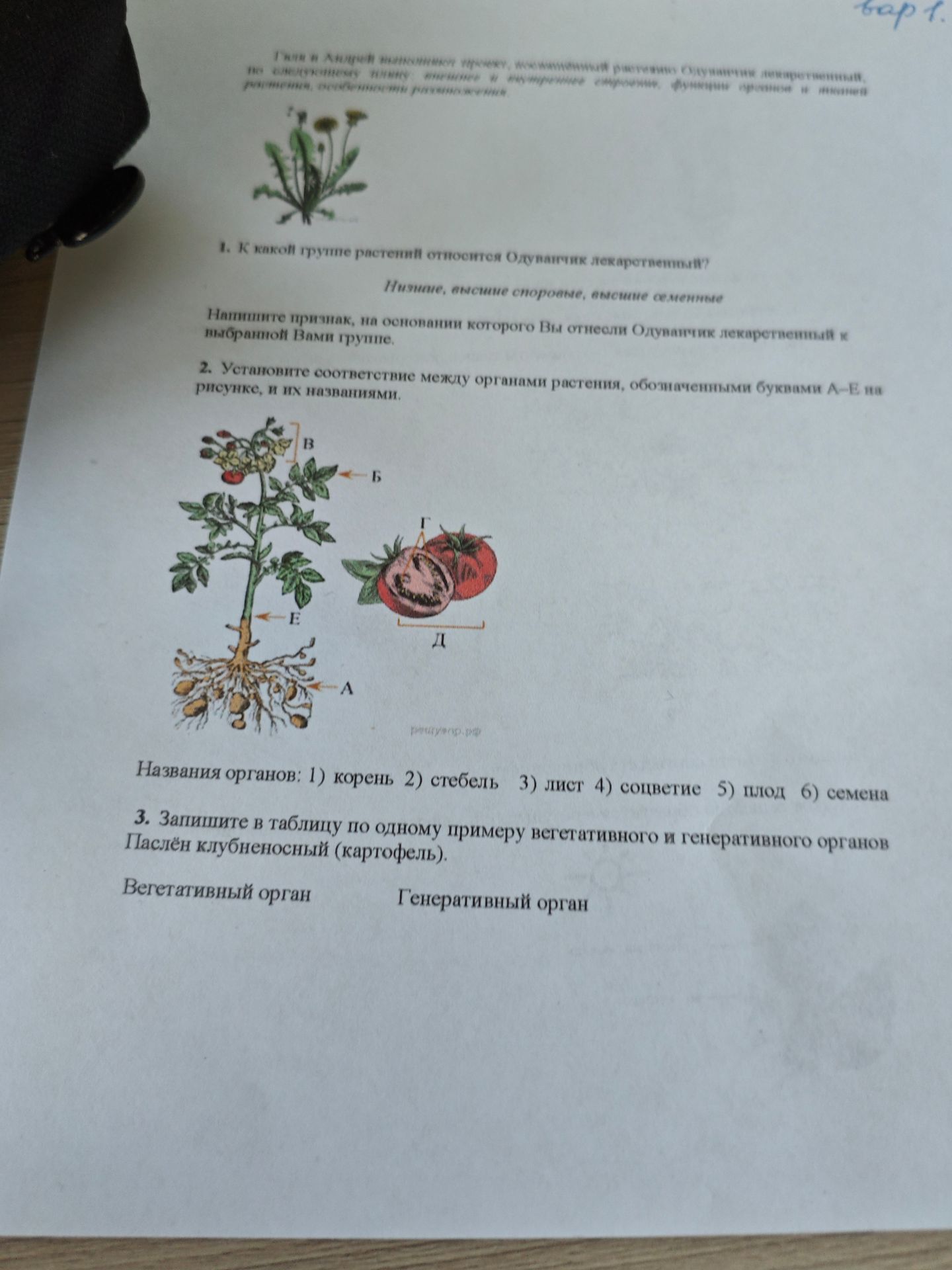 Фото задания