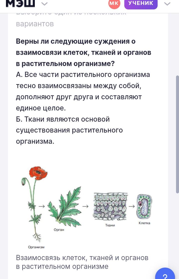 Фото задания: Верны ли следующие суждения о взаимосвязи клеток, тканей и органов в растительном организме? А. Все части растительного…