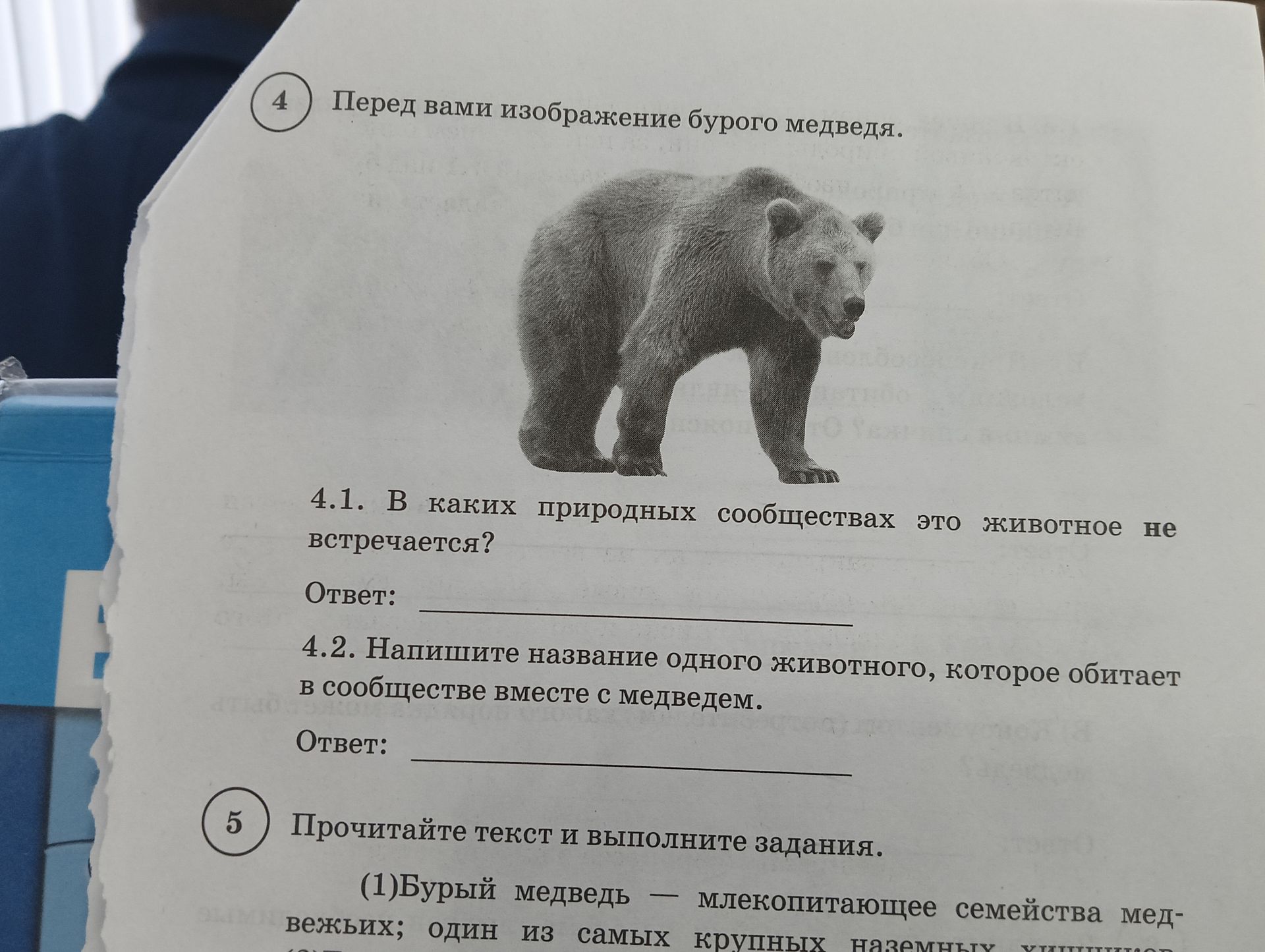 Фото задания: 4.1. В каких природных сообществах это животное не встречается?