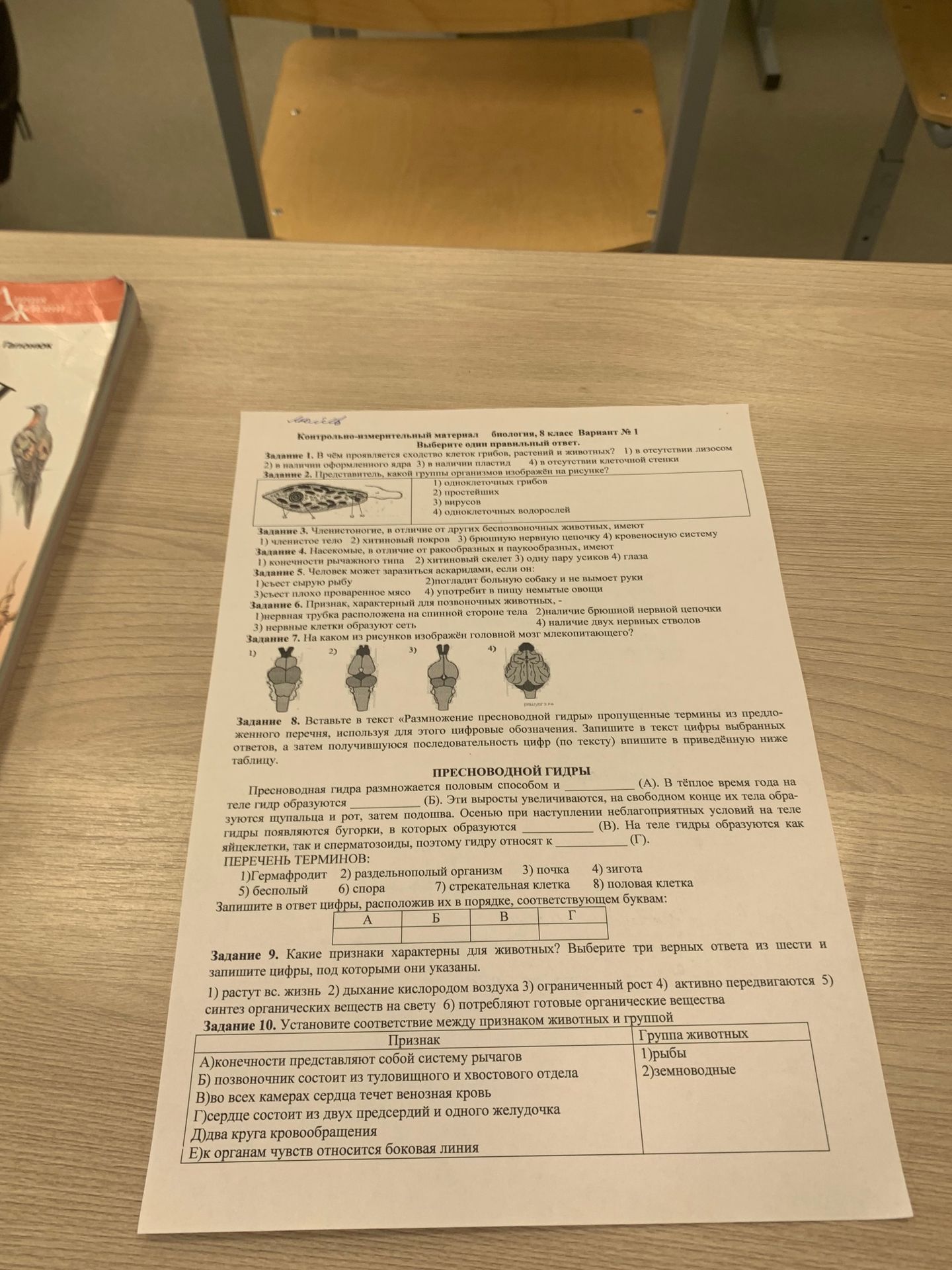Фото задания: Задание 2. Представитель, какой группы организмов изображён на рисунке? 1) одноклеточных грибов 2) простейших 3) вирусов 4)…
