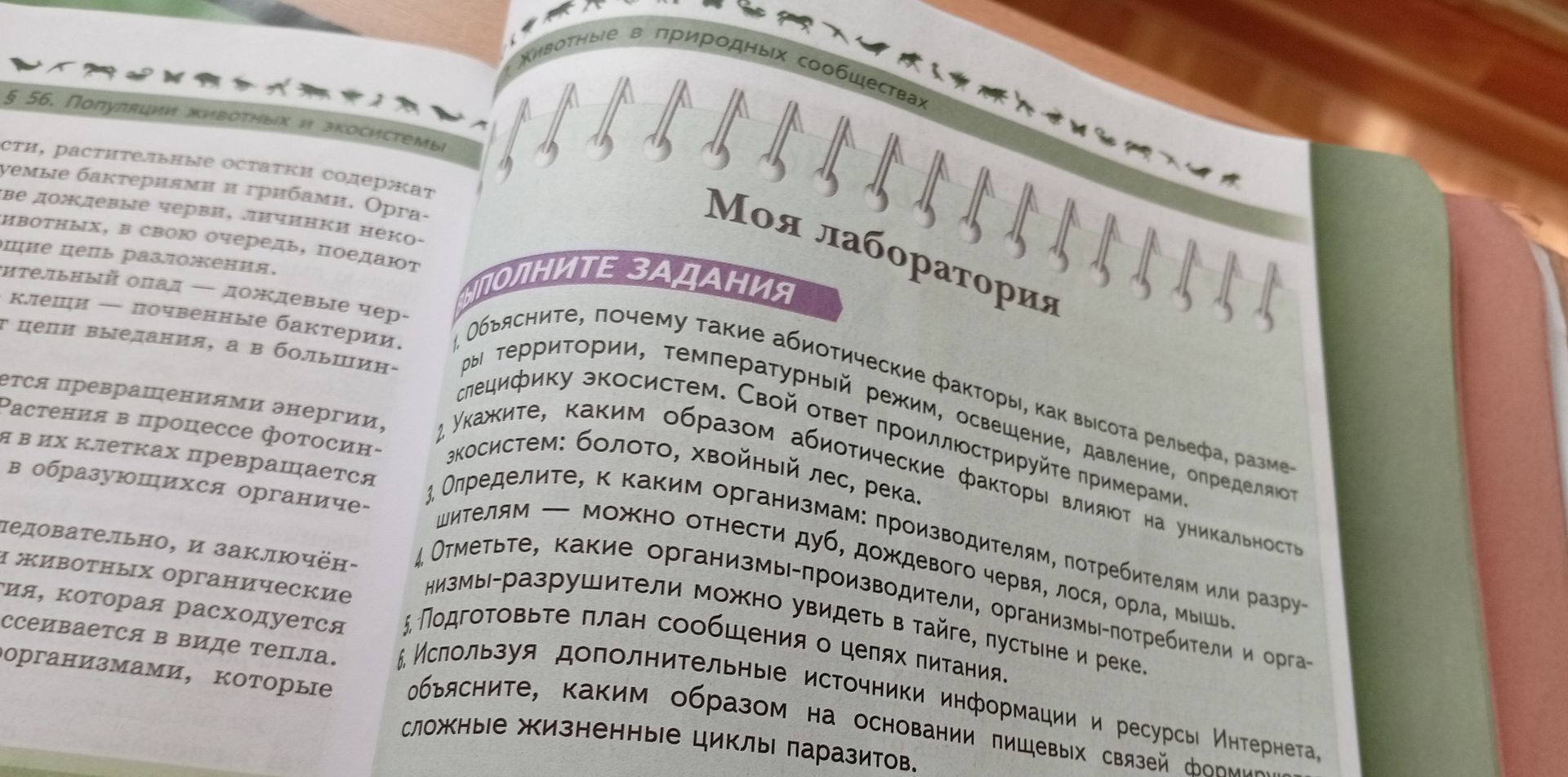 Фото задания: Определите, к каким организмам: производителям, потребителям или разрушителям — можно отнести дуб, дождевого червя, лося,…