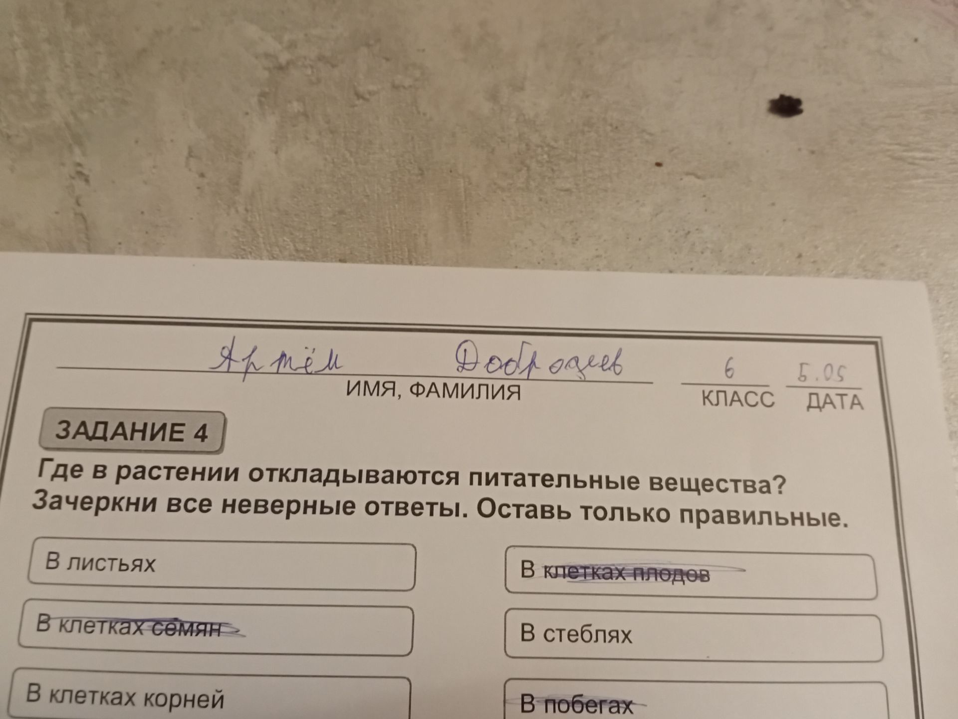 Фото задания