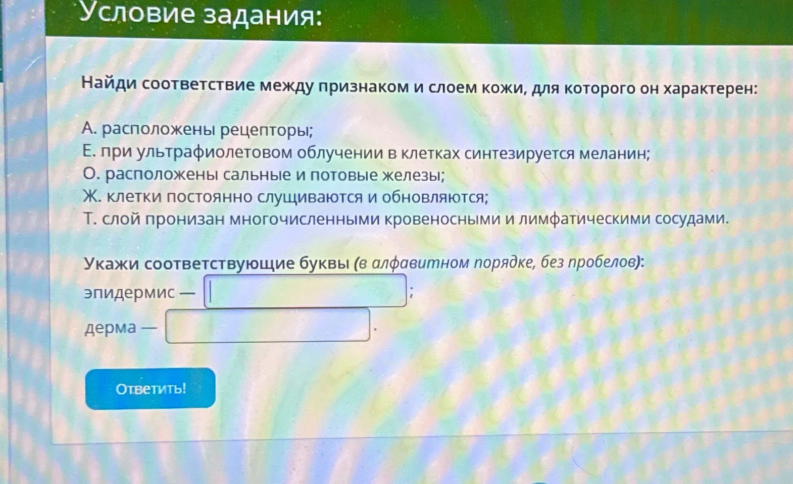 Фото задания