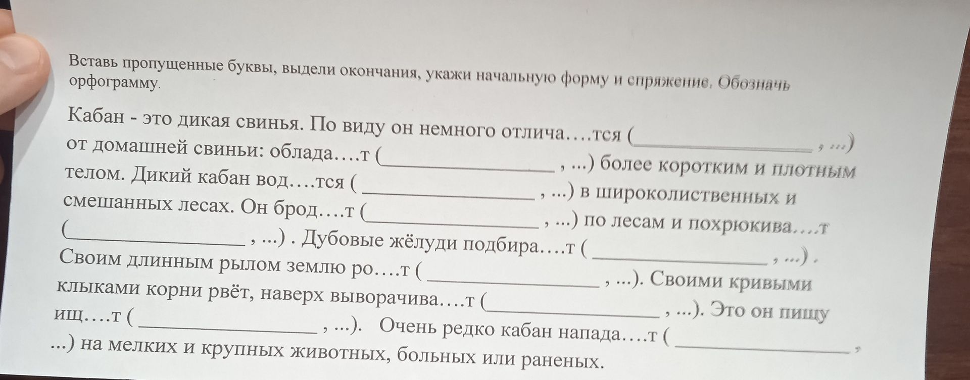 Фото задания