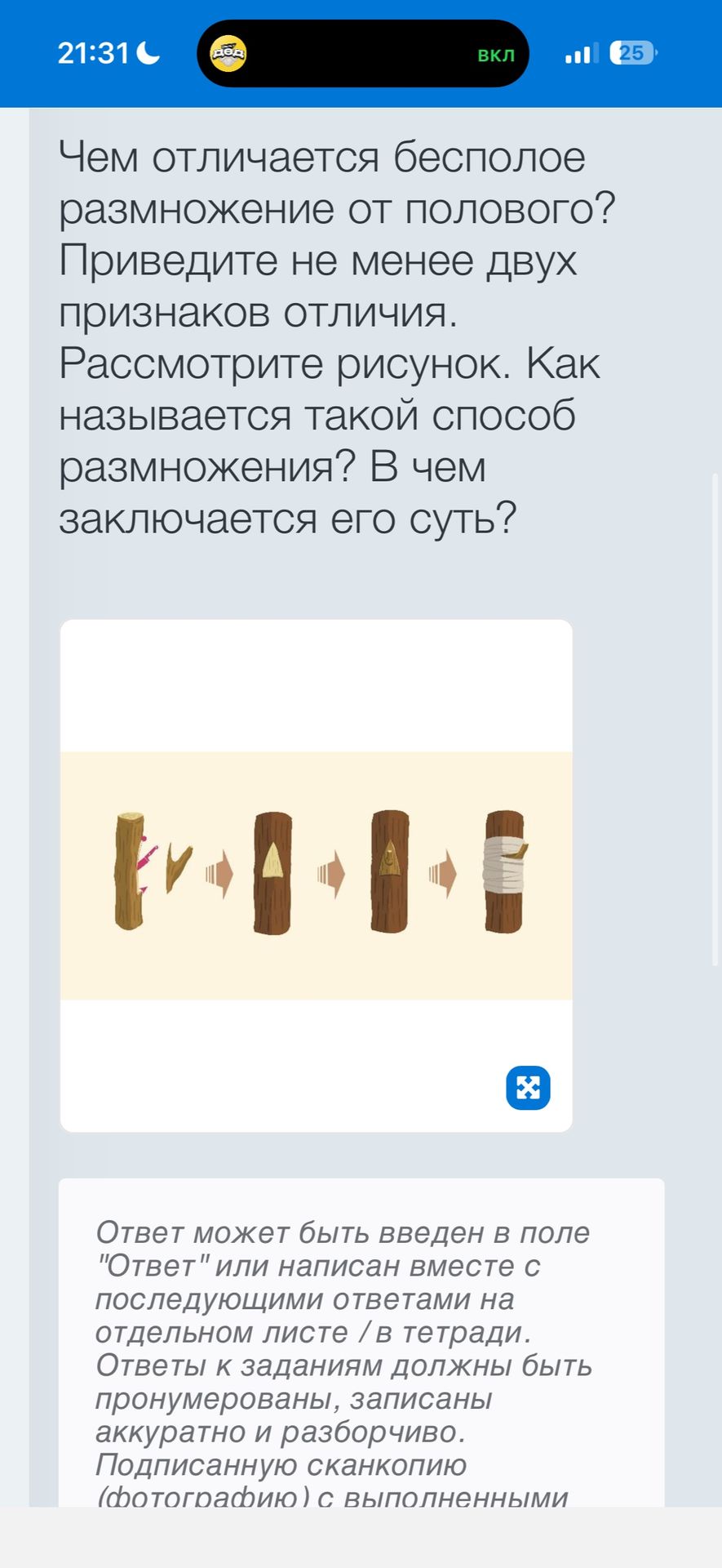 Фото задания