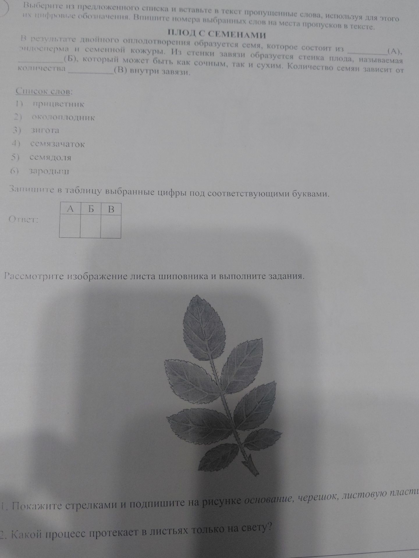 Фото задания