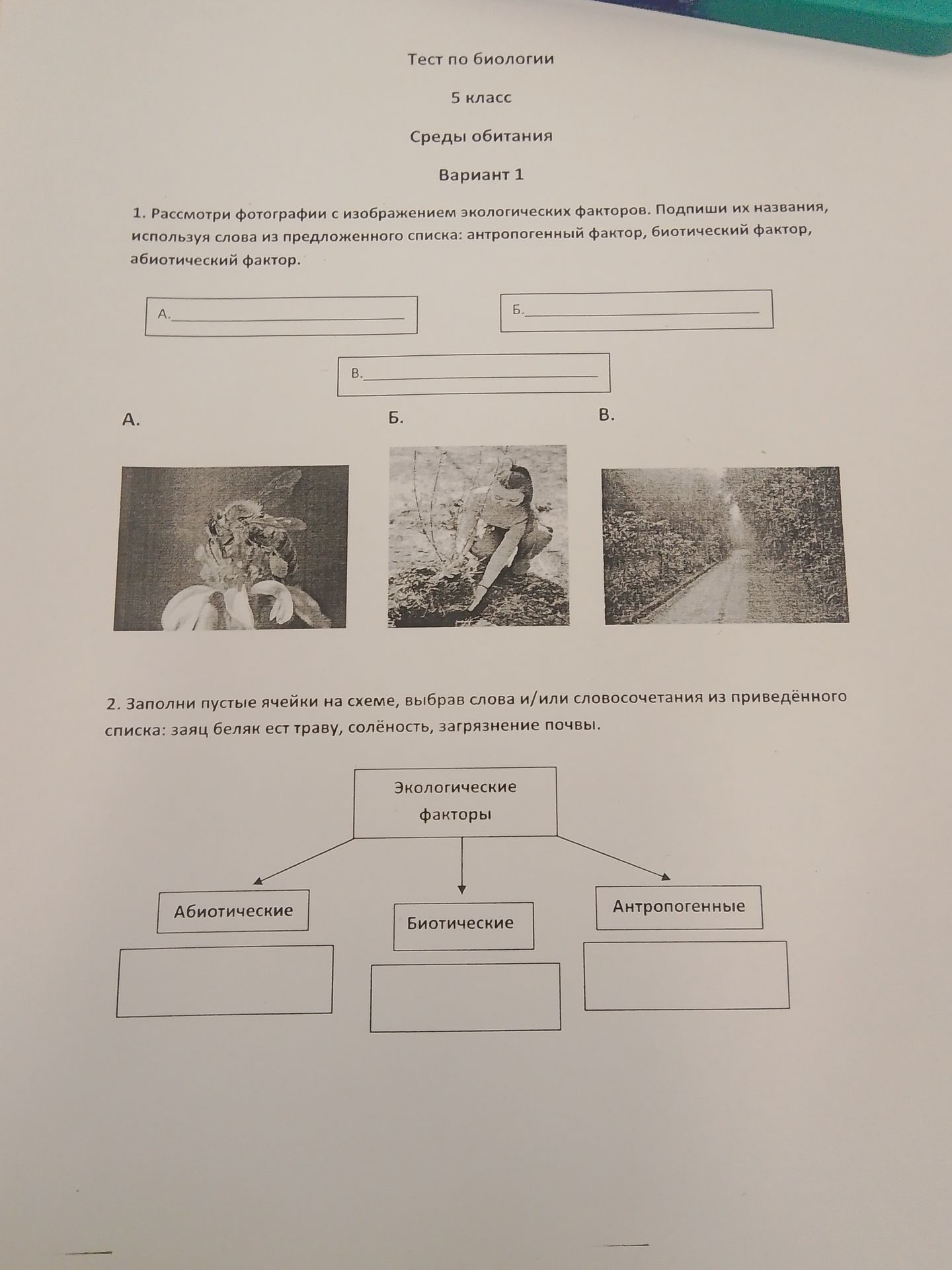 Фото задания