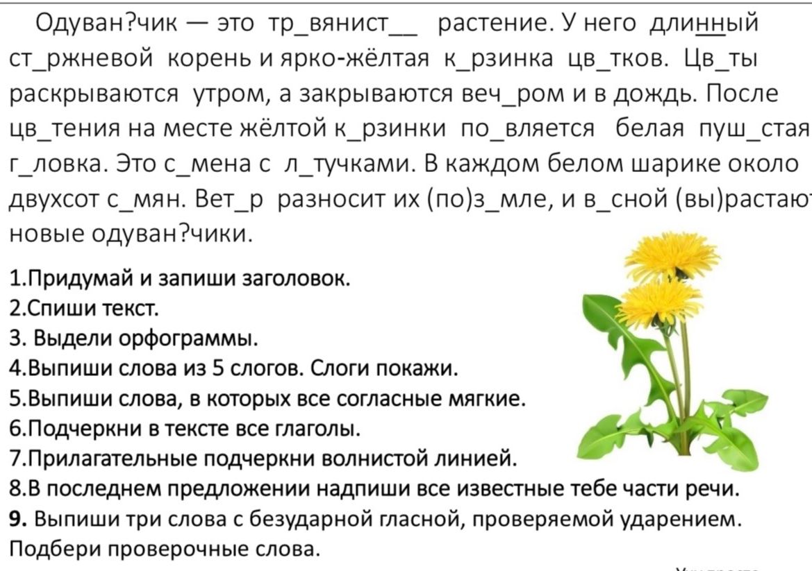 Фото задания