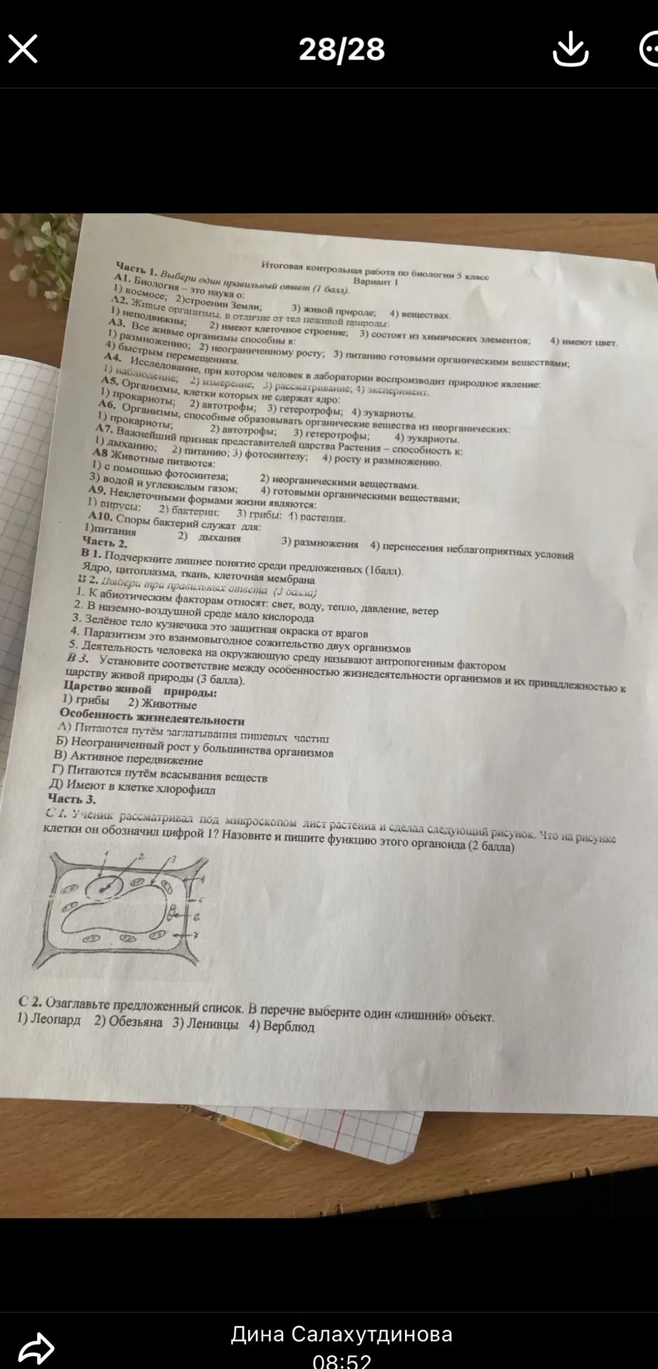 Фото задания