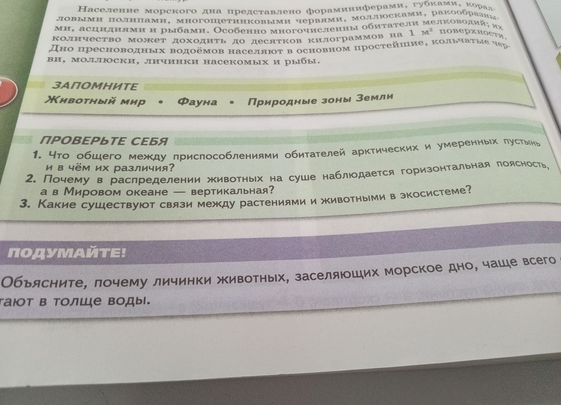 Фото задания: Объясните, почему личинки животных, заселяющих морское дно, чаще всего обитают в толще воды.