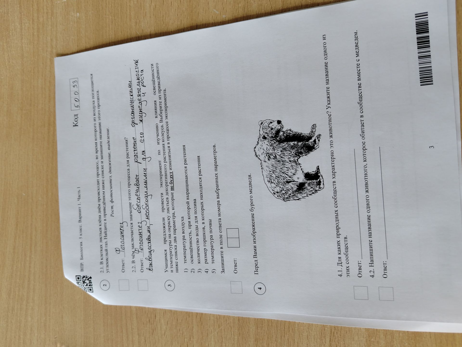 Фото задания: 4.2. Напишите название одного животного, которое обитает в сообществе вместе с медведем.