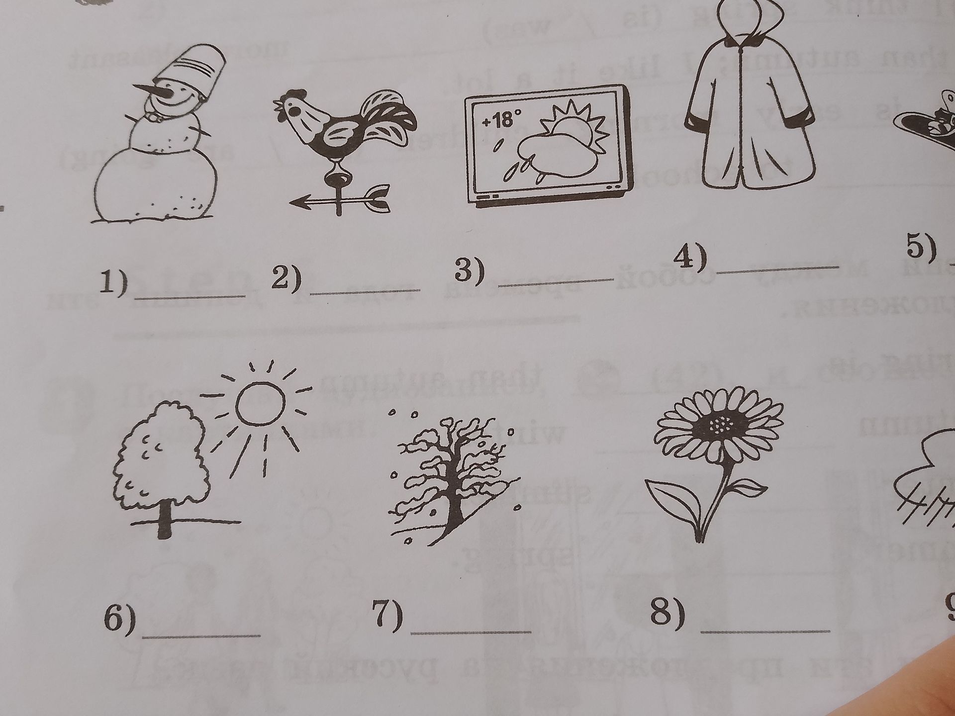 Фото задания: 1) __ 2) __ 3) __ 4) __ 5) __ 6) __ 7) __ 8) __