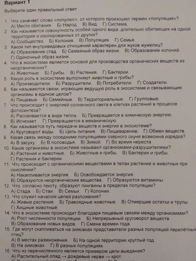 Фото задания