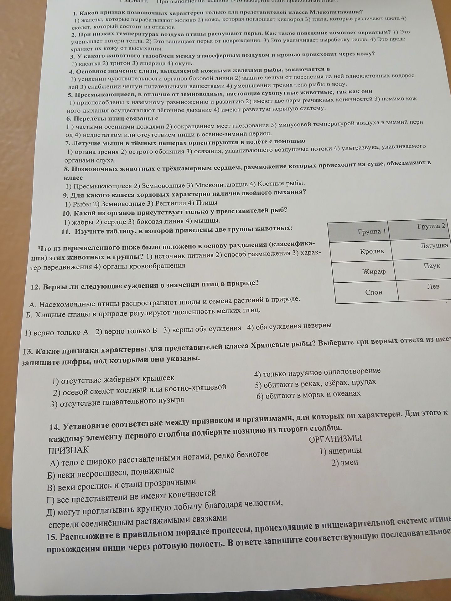 Фото задания