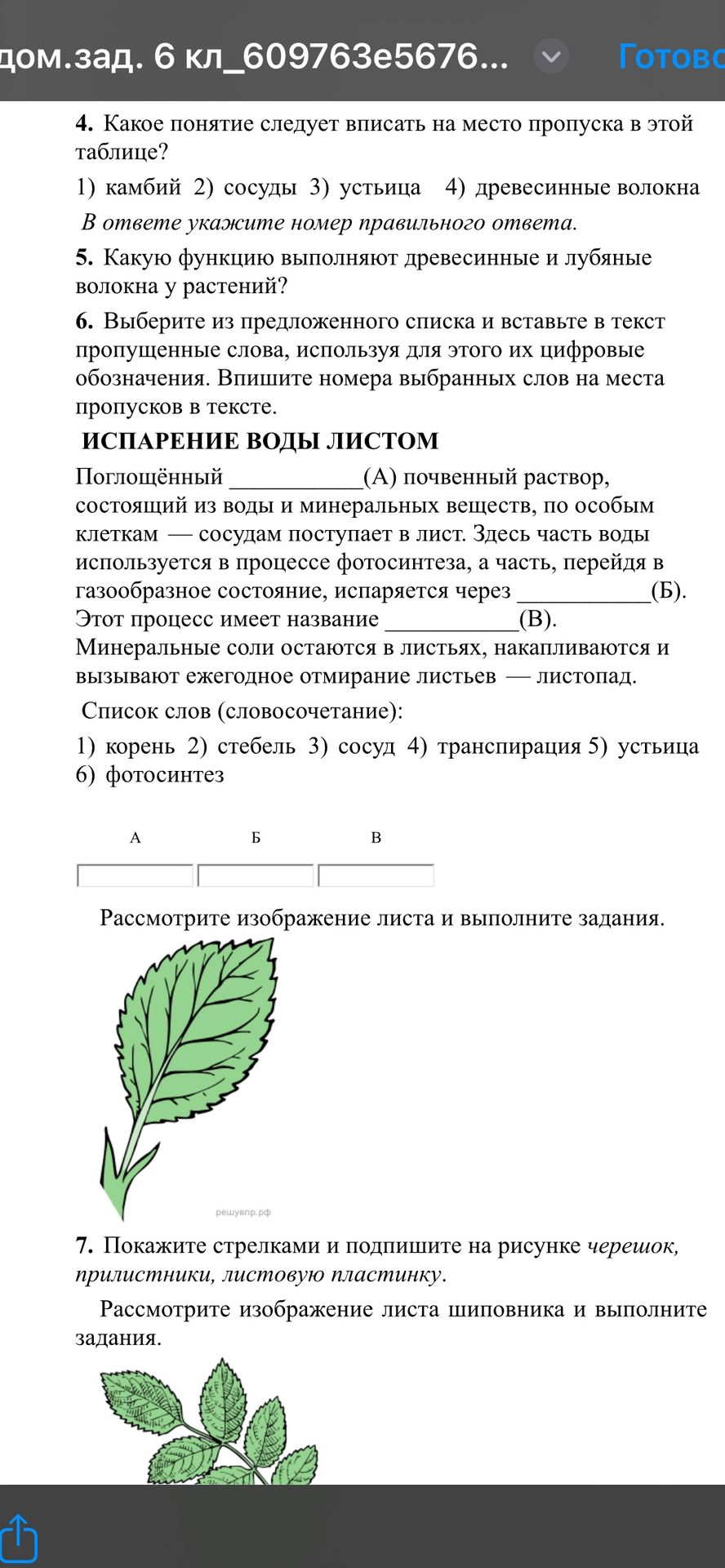 Фото задания