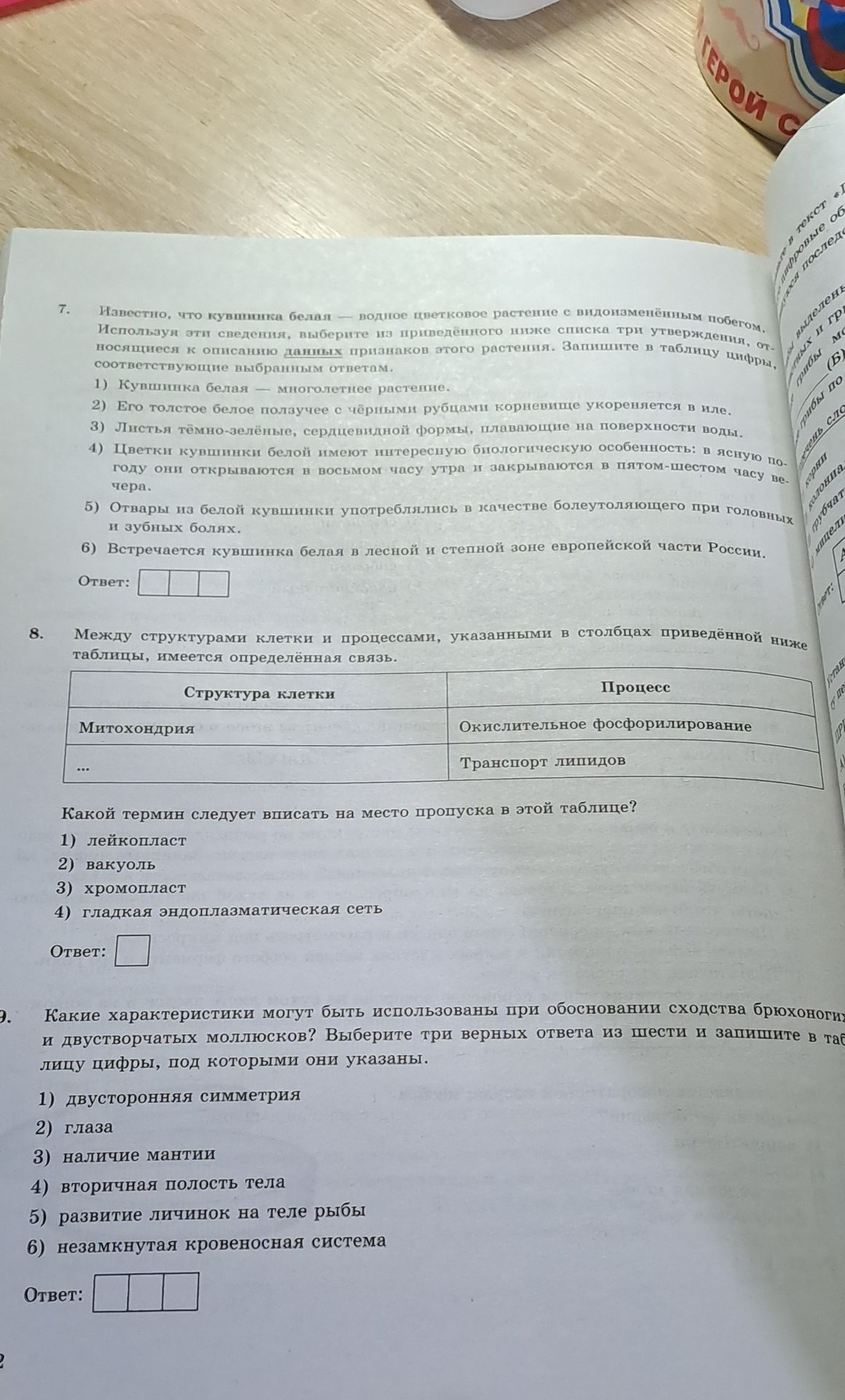 Фото задания: Между структурами клетки и процессами, указанными в столбцах приведённой ниже таблицы, имеется определённая связь.