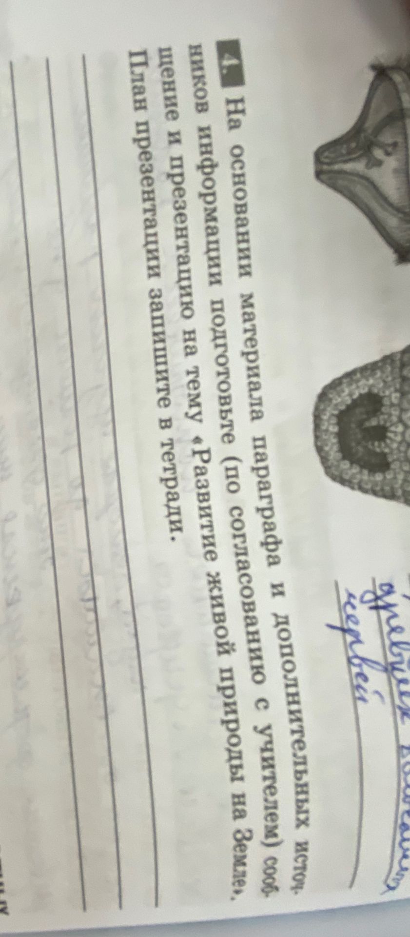 Фото задания: На основании материала параграфа и дополнительных источников информации подготовьте (по согласованию с учителем) сообщение…