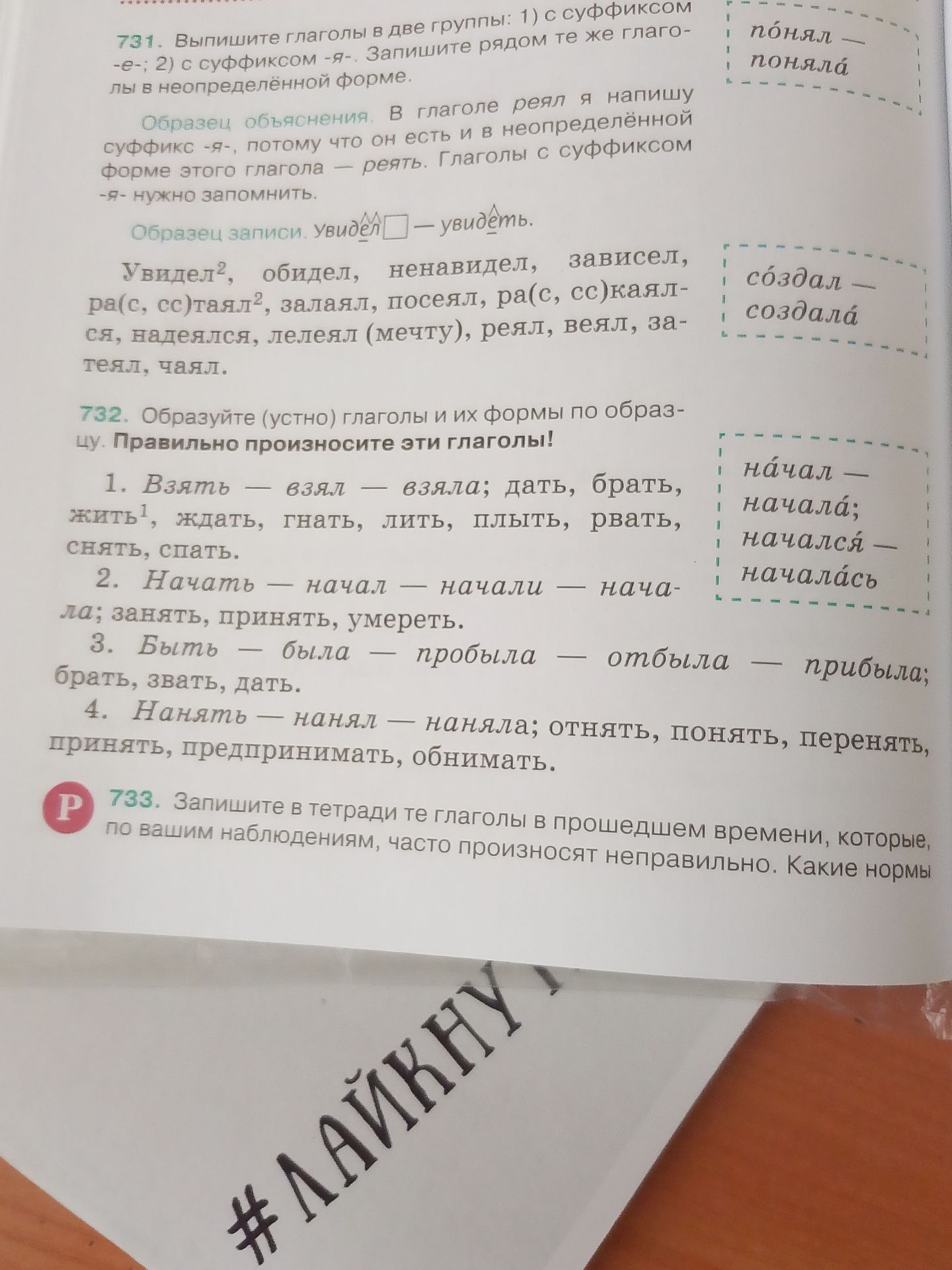 Фото задания: 733. Запишите в тетради те глаголы в прошедшем времени, которые, по вашим наблюдениям, часто произносят неправильно. Какие…