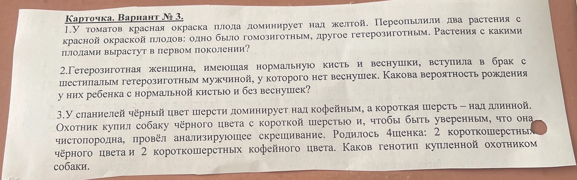 Фото задания