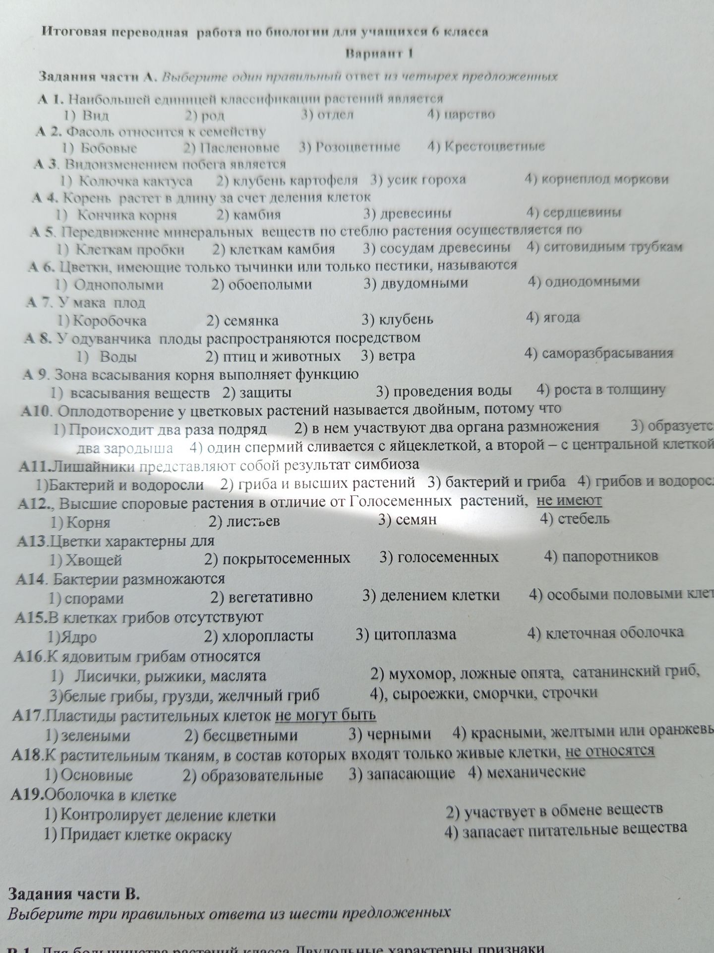 Фото задания