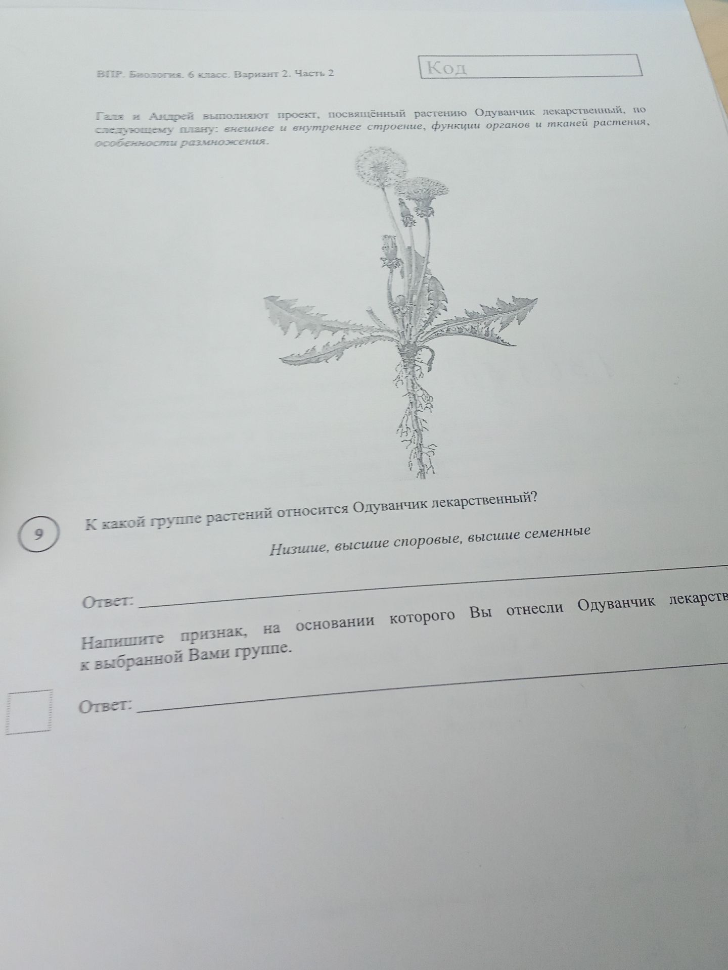 Фото задания