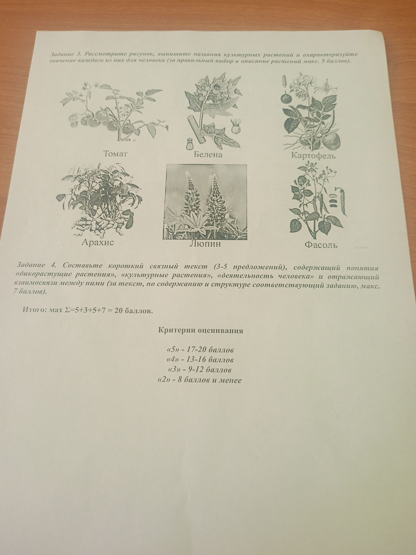 Фото задания