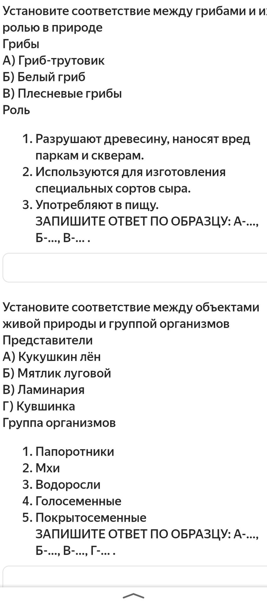 Фото задания