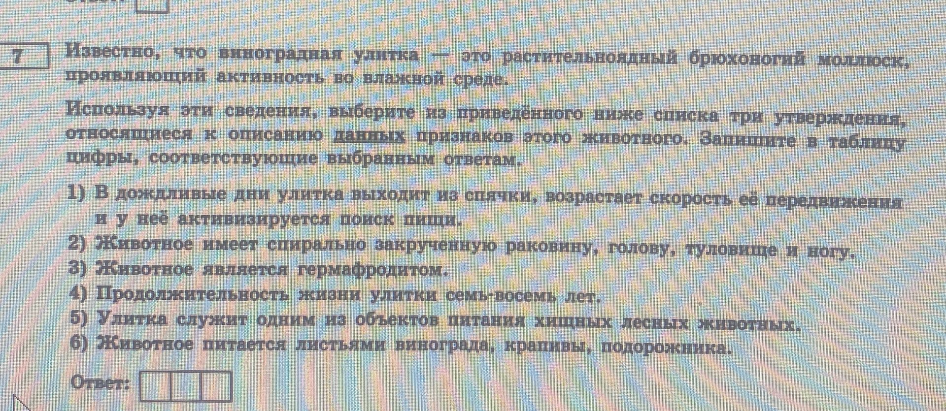 Фото задания