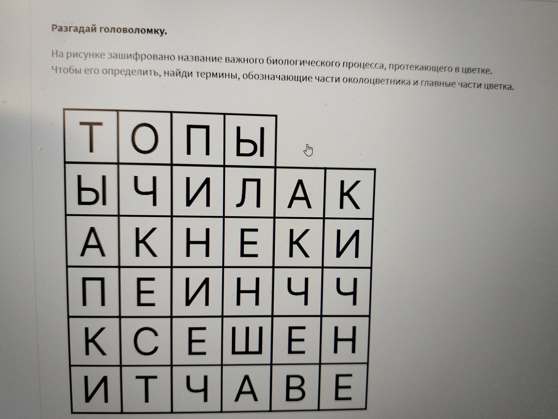 Фото задания