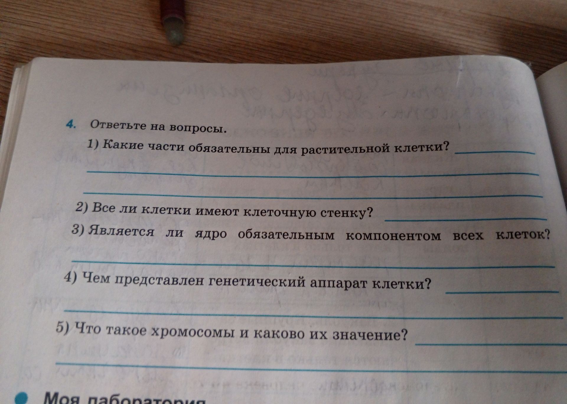 Фото задания: 3) Является ли ядро обязательным компонентом всех клеток?