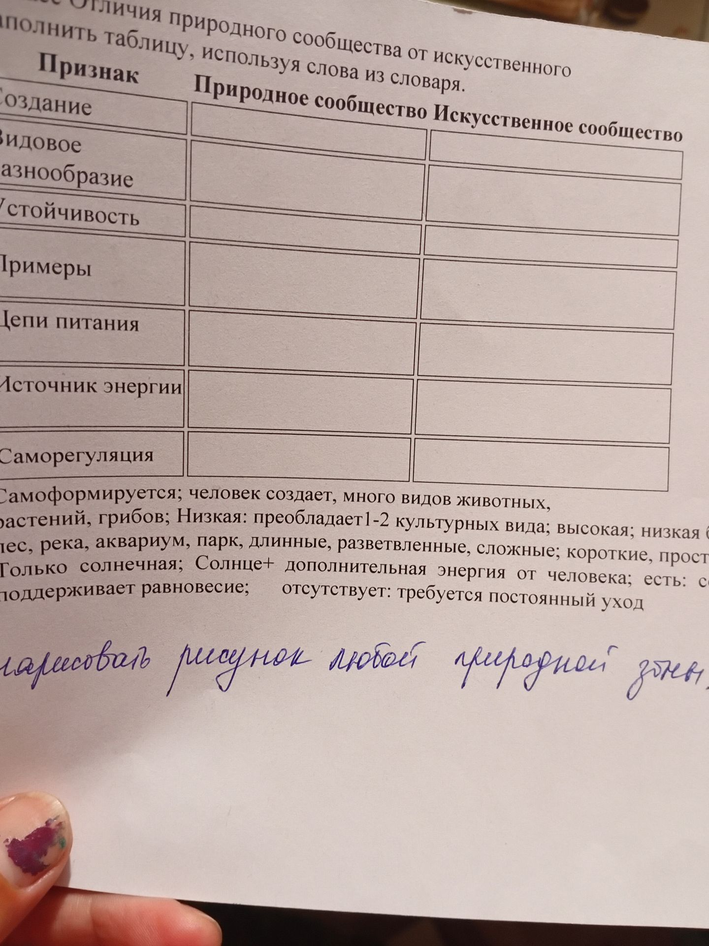 Фото задания: Нарисуйте рисунок любой природной зоны.