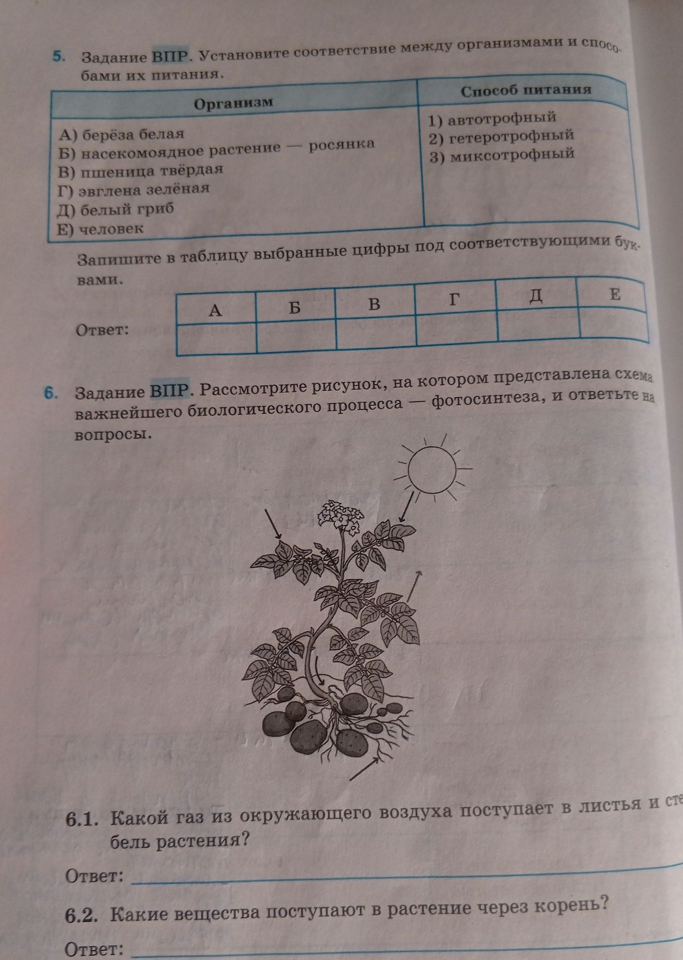 Фото задания: 6. Задание ВПР. Рассмотрите рисунок, на котором представлена схема важнейшего биологического процесса — фотосинтеза, и…