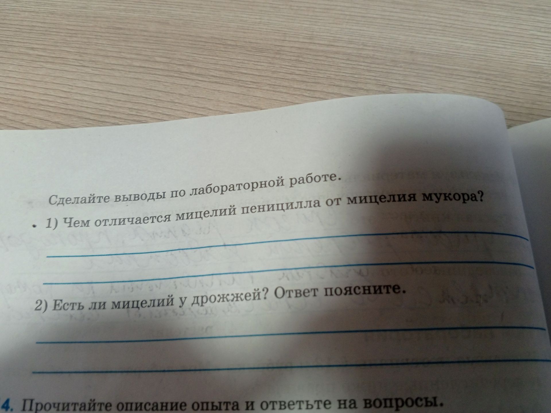 Фото задания: 1) Чем отличается мицелий пеницилла от мицелия мукора?