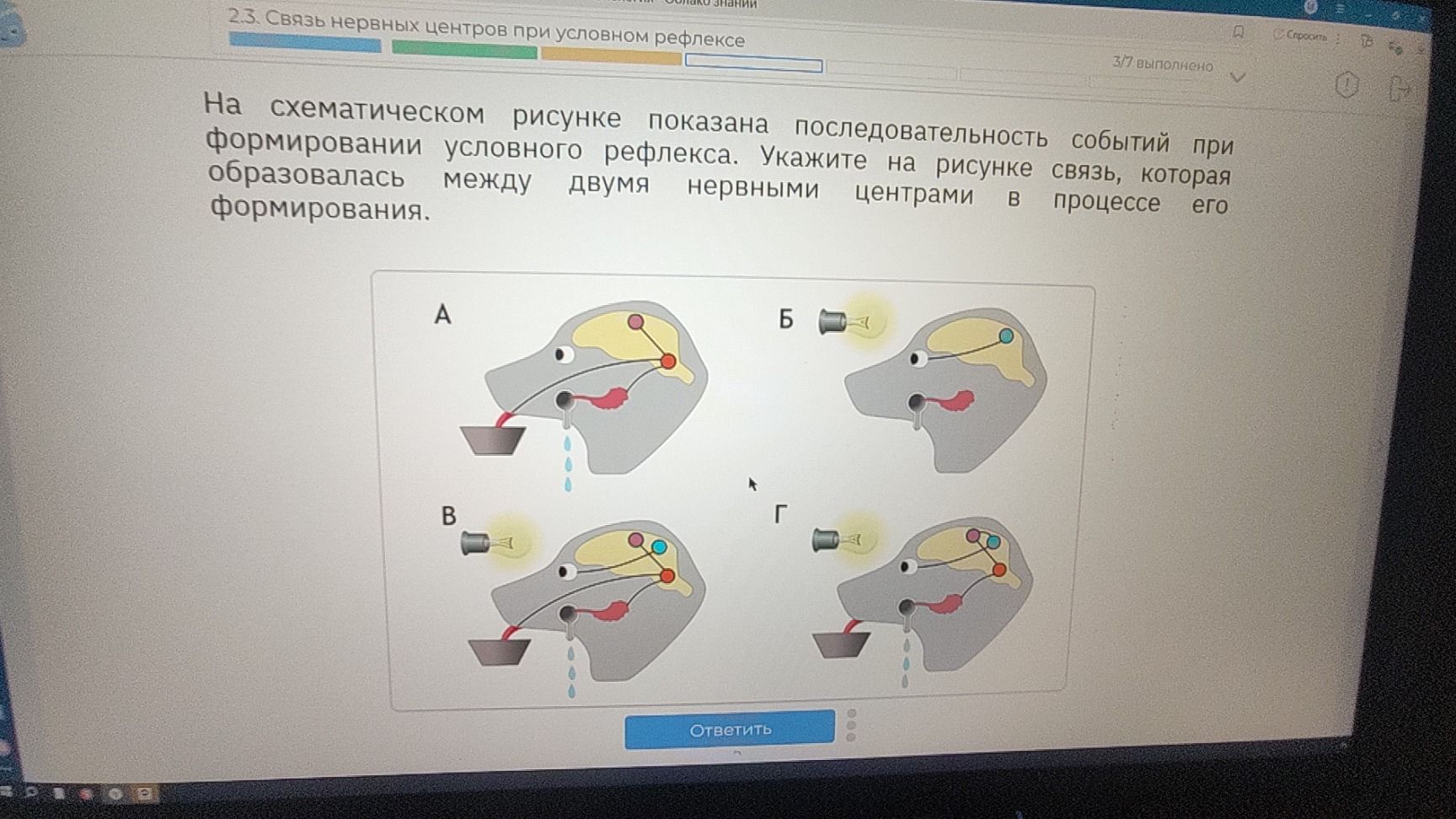 Фото задания: На схематическом рисунке показана последовательность событий при формировании условного рефлекса. Укажите на рисунке связь,…
