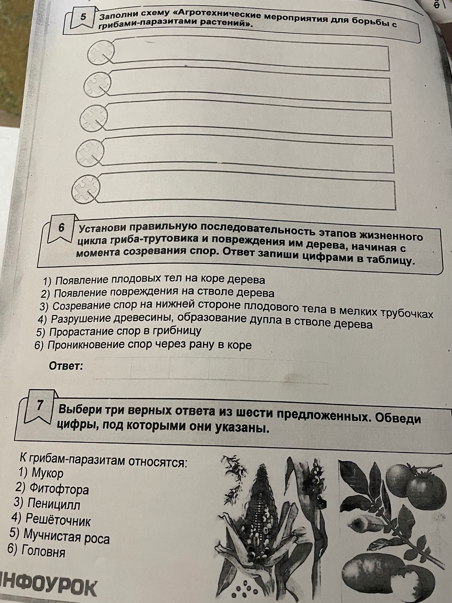 Фото задания: 5 Заполни схему «Агротехнические мероприятия для борьбы с грибами-паразитами растений».