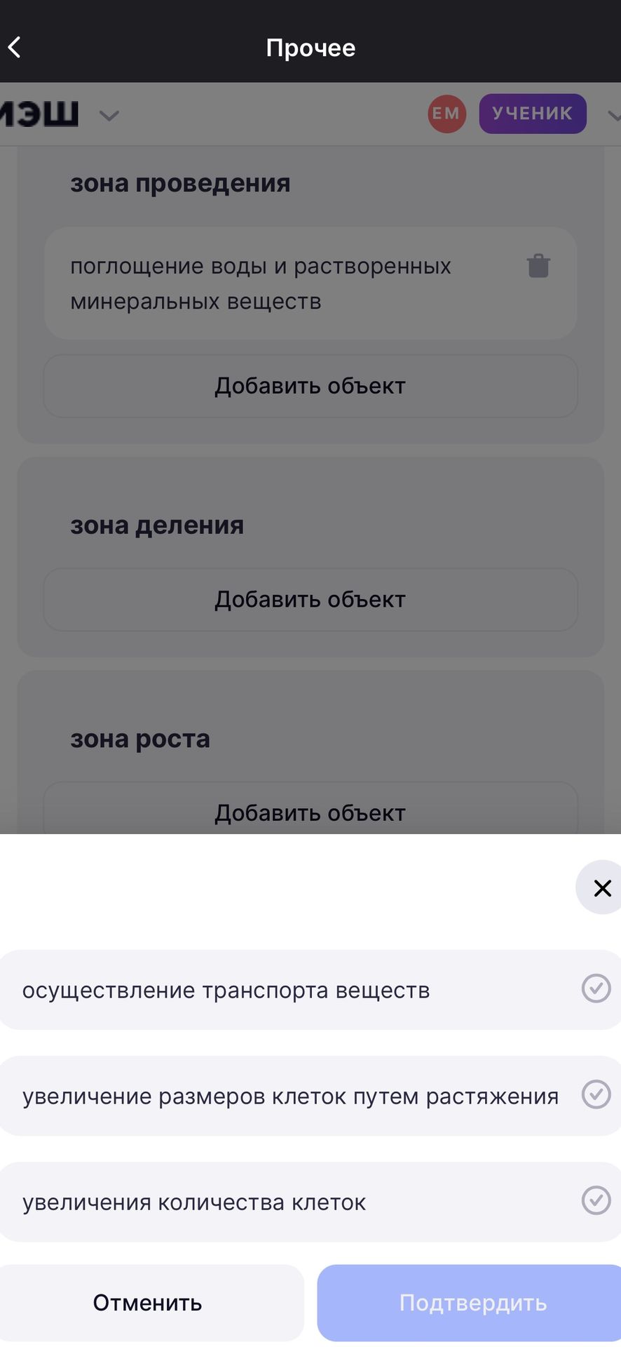 Фото задания: Please select the correct option for "зона деления".