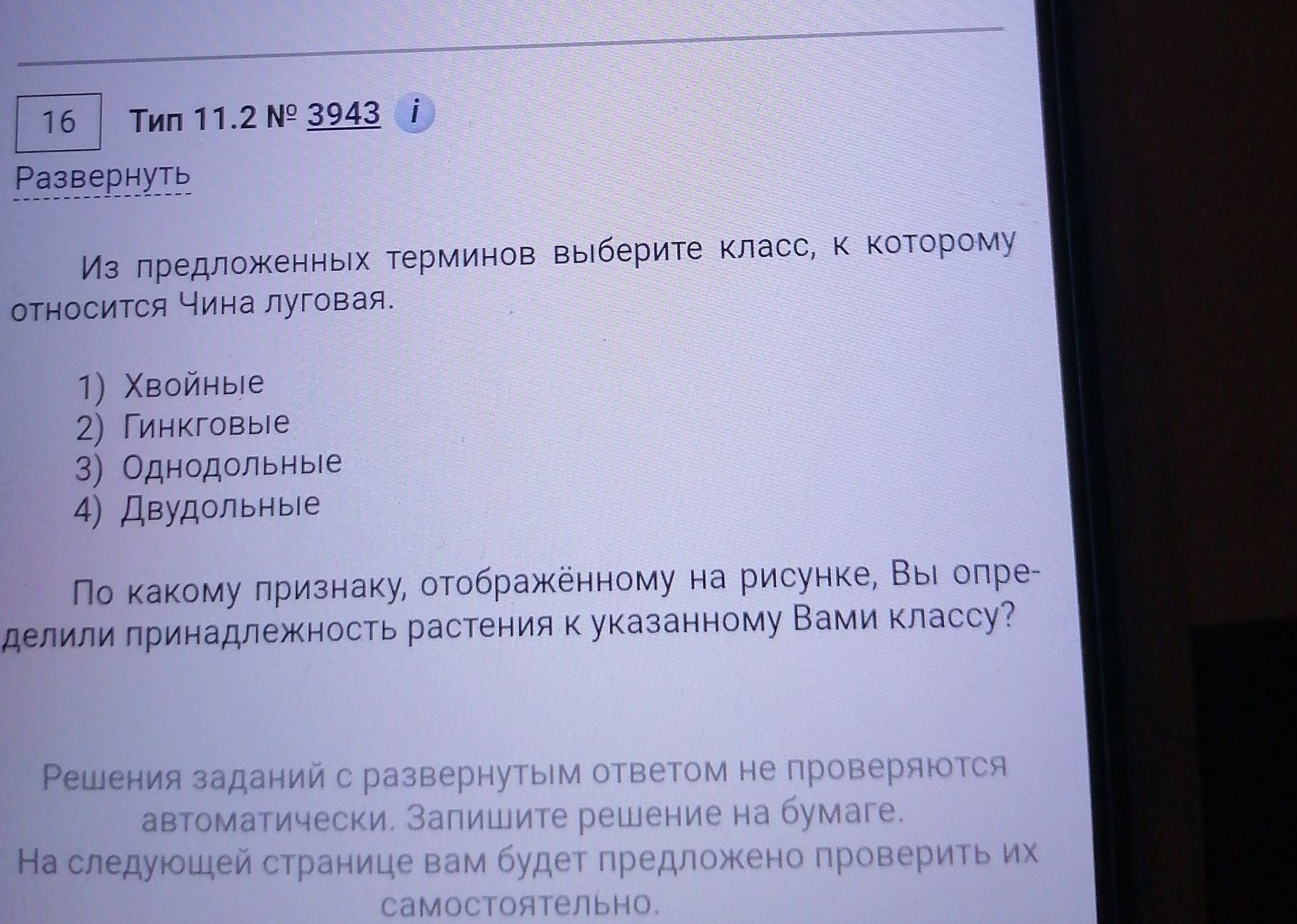 Фото задания: Из предложенных терминов выберите класс, к которому относится Чина луговая.