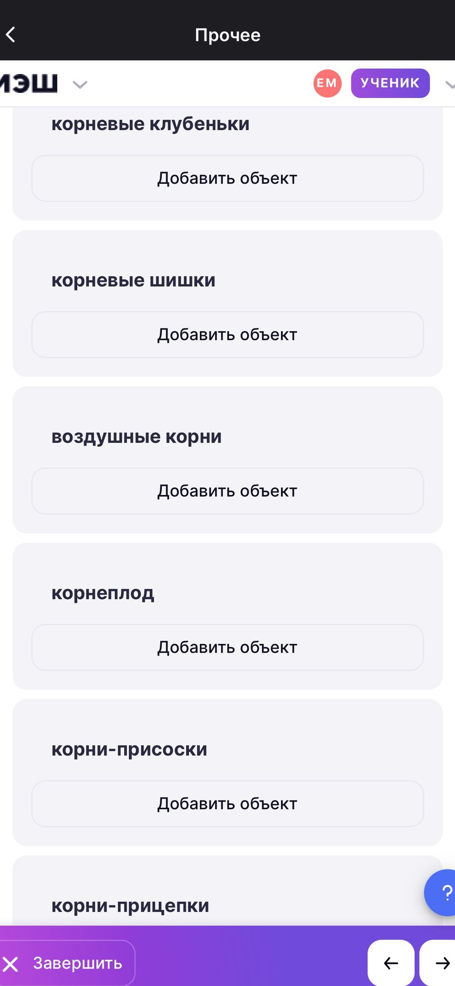 Фото задания: корнеплод