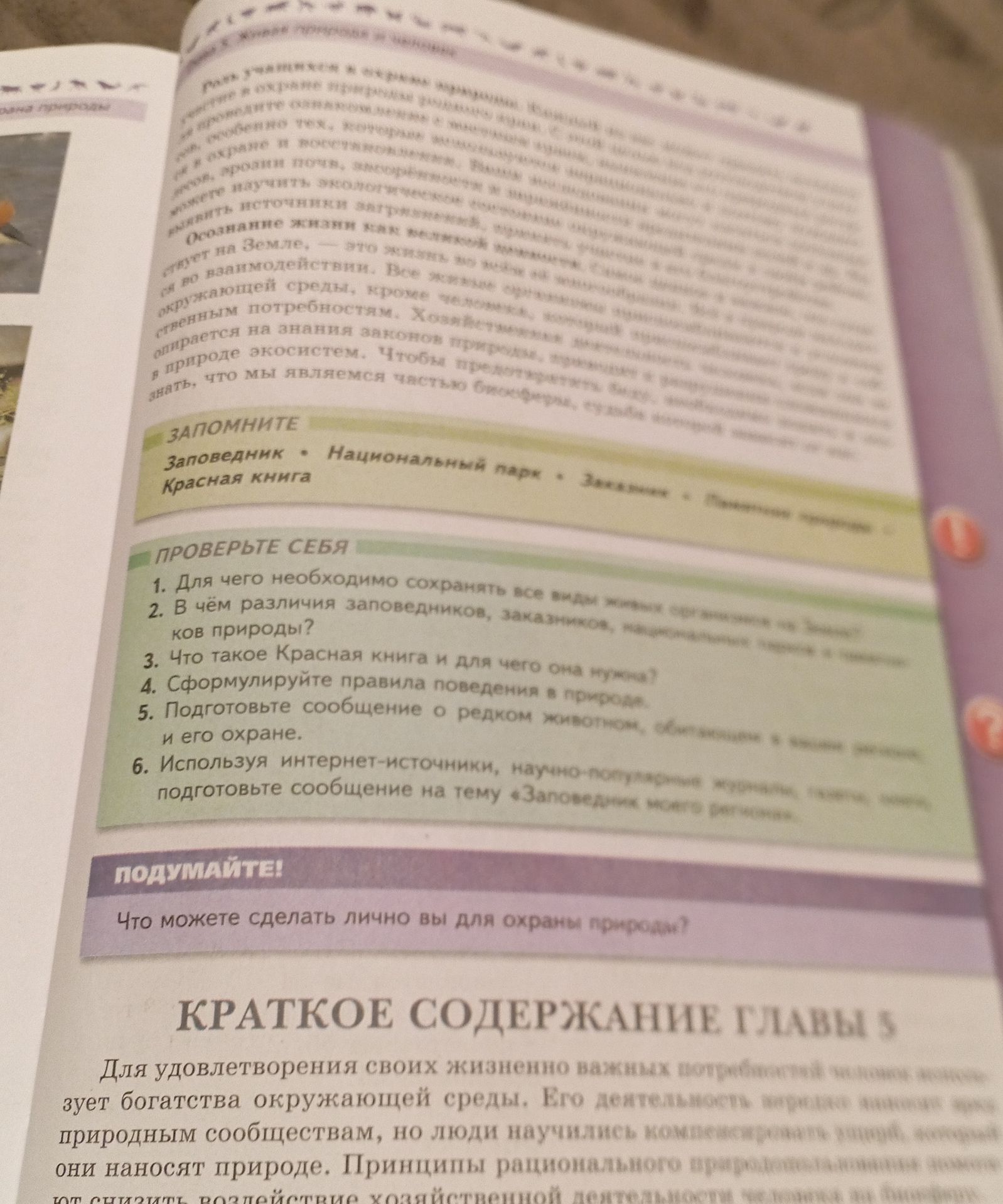 Фото задания: Сформулируйте правила поведения в природе.