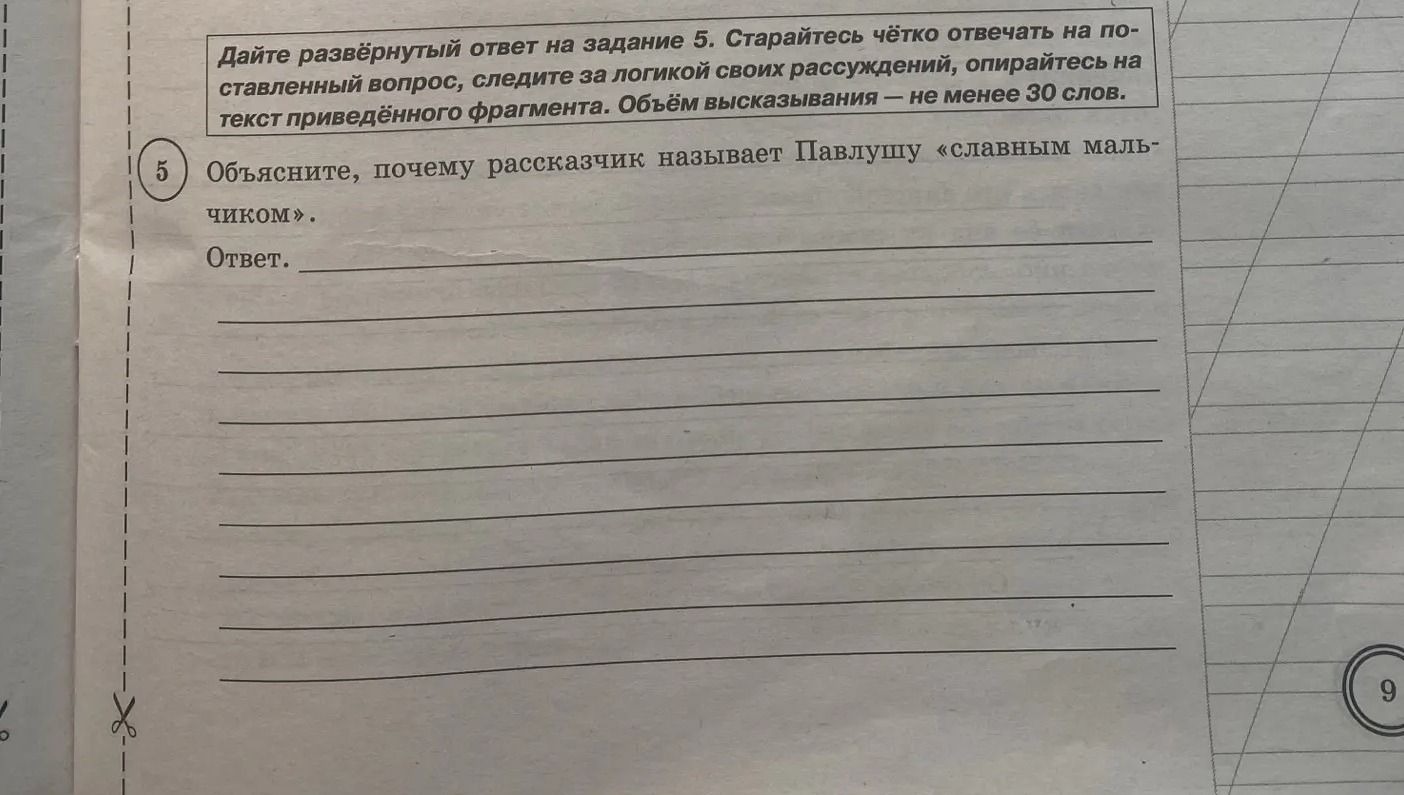 Фото задания: Объясните, почему рассказчик называет Павлушу «славным мальчиком».