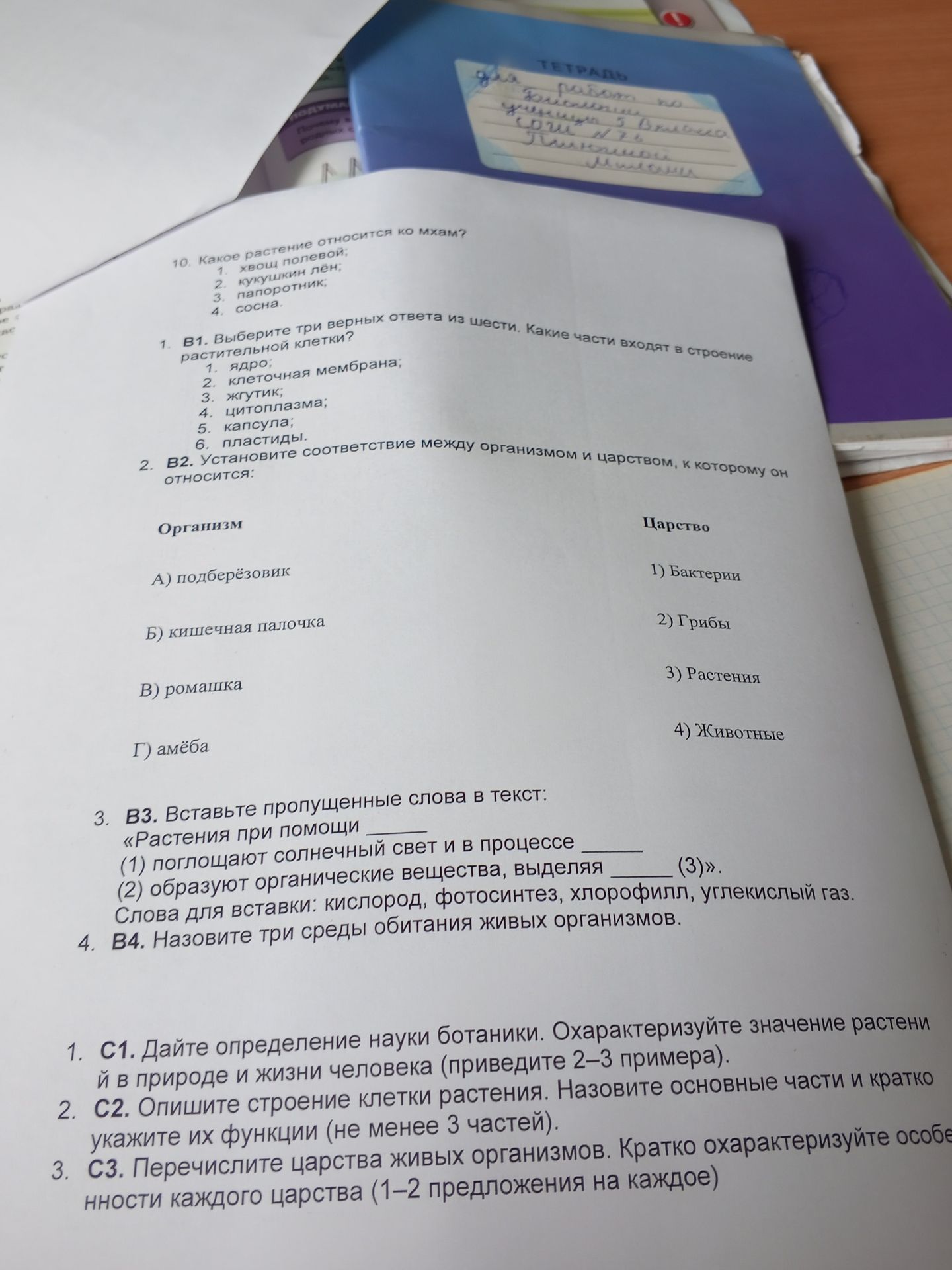 Фото задания: 2. B2. Установите соответствие между организмом и царством, к которому он относится: